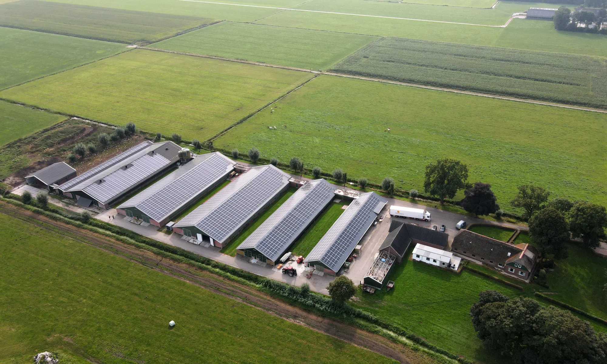 protium-mastenbroek protium-mastenbroek