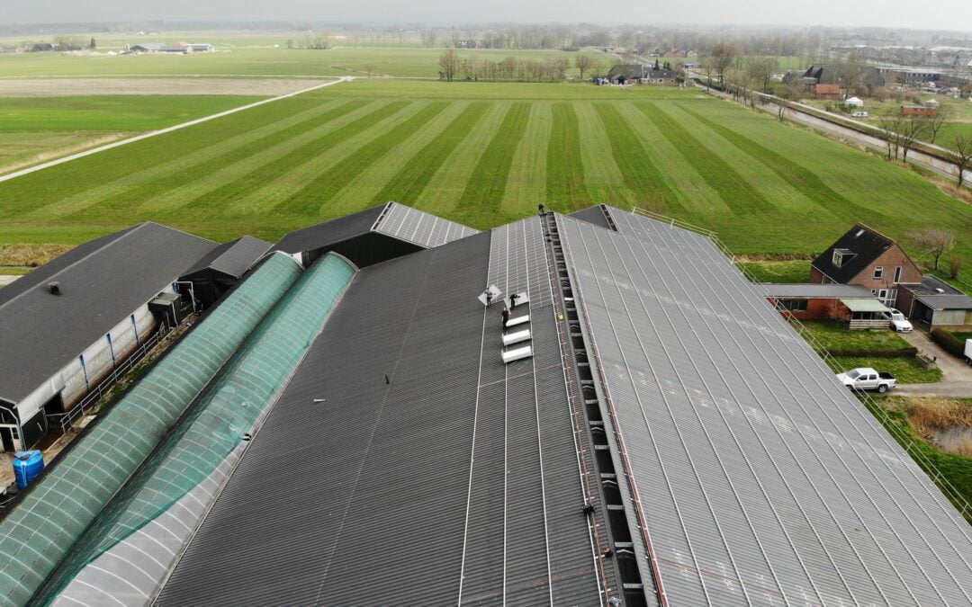 created by dji camera Lellens 6