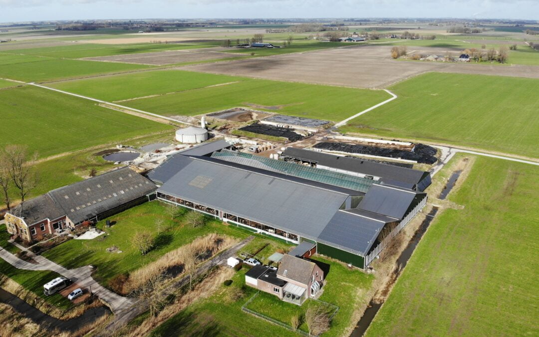 created by dji camera Lellens 4
